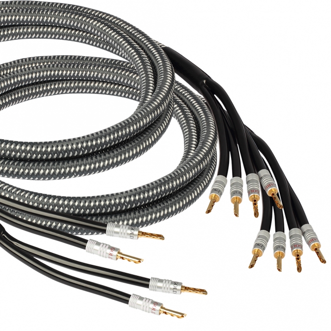 Goldkabel Goldkabel Edition Chorus Goldkabel Chorus Bi-Wire - 2,0m