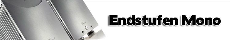Endstufen Mono
