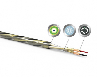 QED - REFERENCE Golden Anniversary XT - Meterpreis 